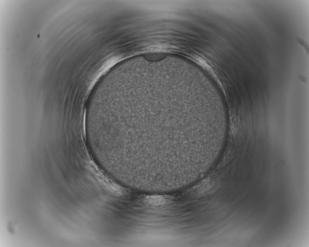 X0000102481227200808291620