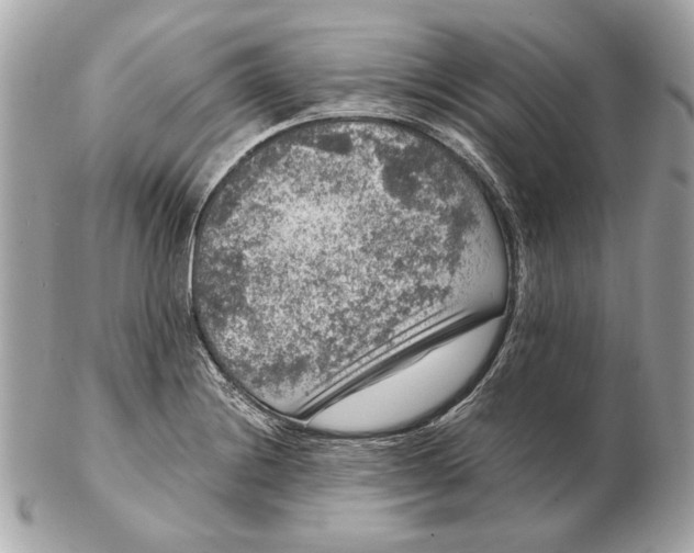 X0000102481228200808291620