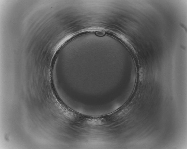 X0000102481229200808291620