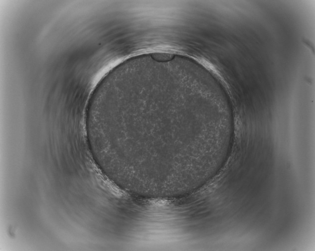 X0000102481230200808291620