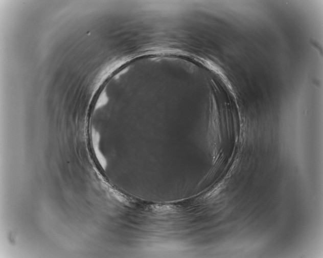 X0000102481231200808291620