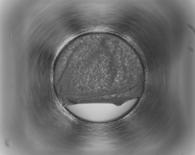 X0000102481232200808291620