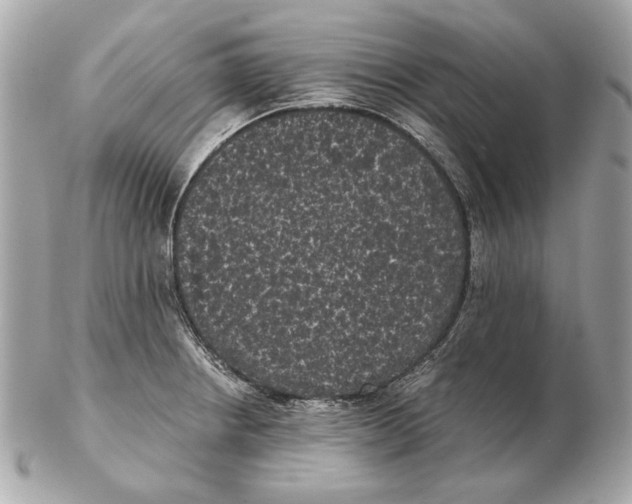 X0000102481234200808291620