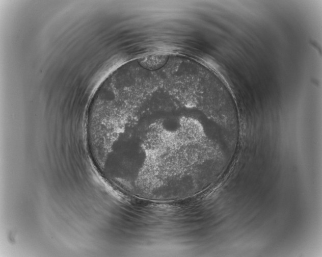 X0000102481235200808291620