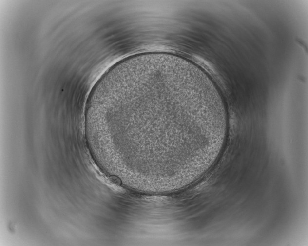 X0000102481236200808291620