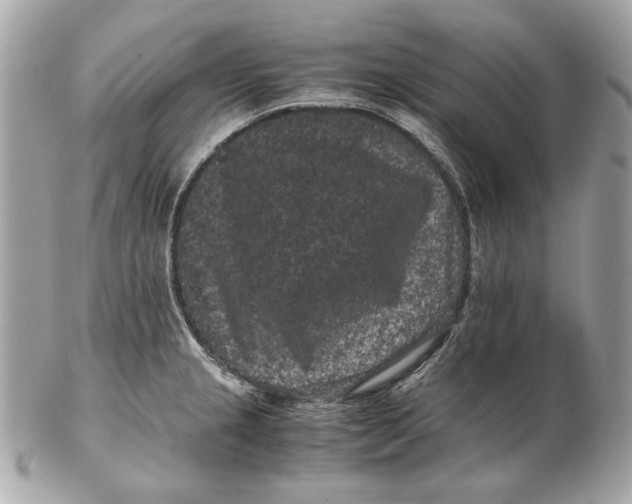 X0000102481237200808291620