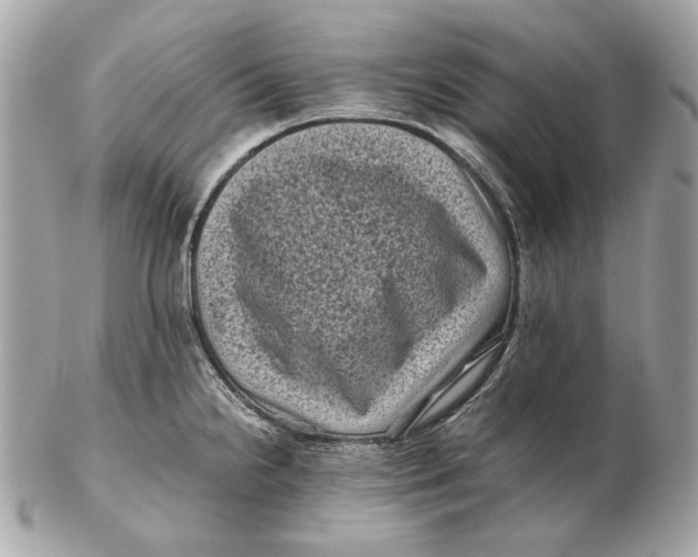 X0000102481238200808291620