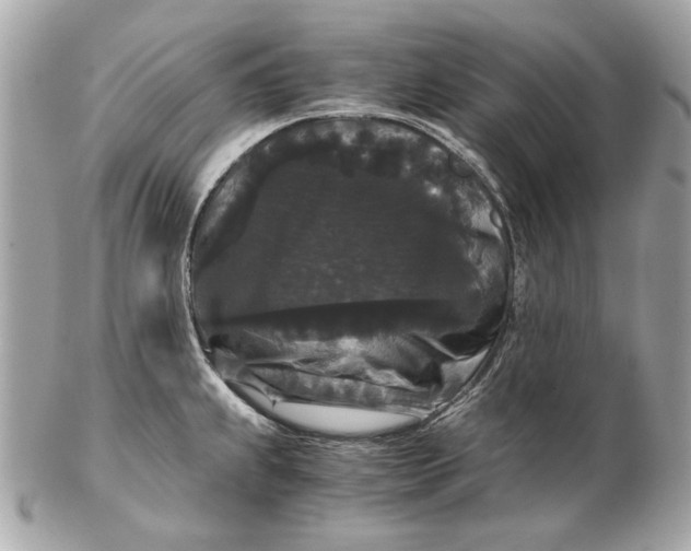 X0000102481239200808291620