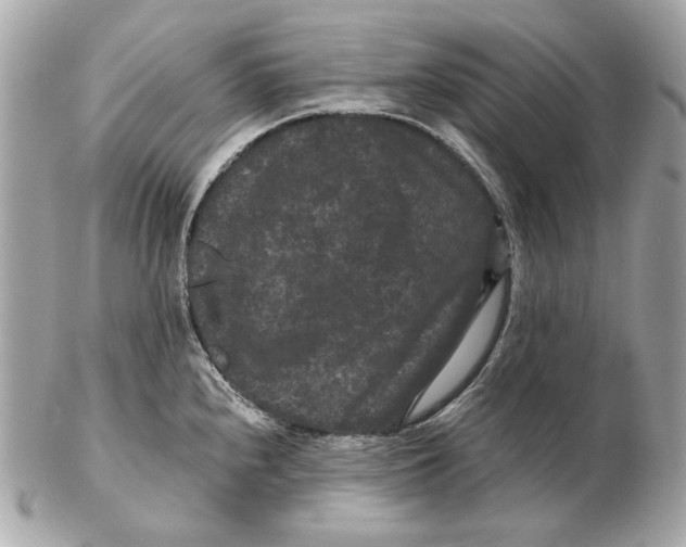 X0000102481240200808291620