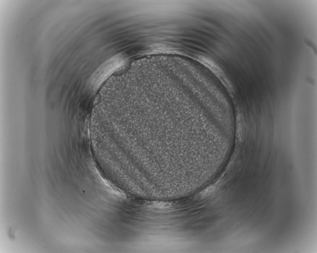 X0000102481241200808291620