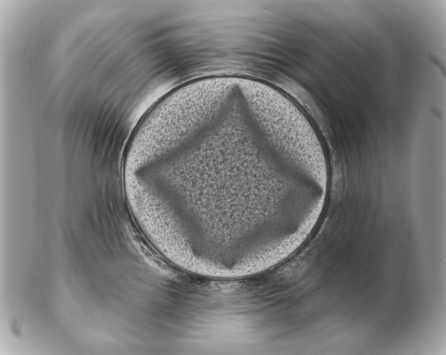 X0000102481242200808291620