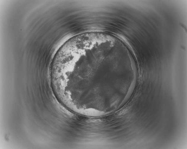 X0000102481243200808291620