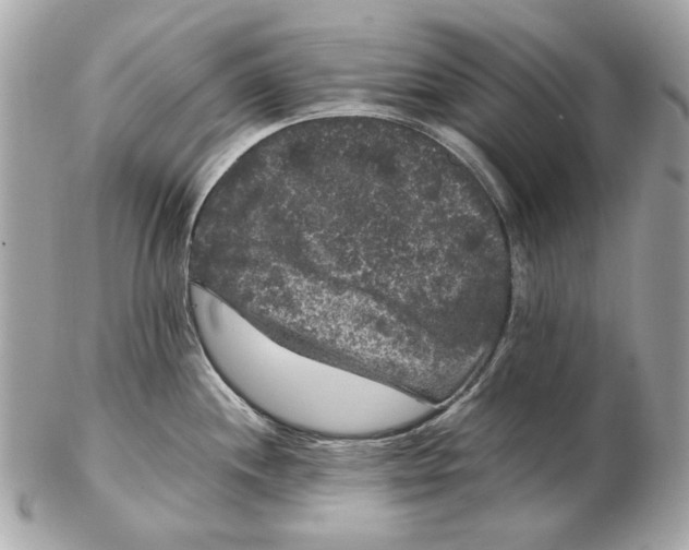 X0000102481244200808291620