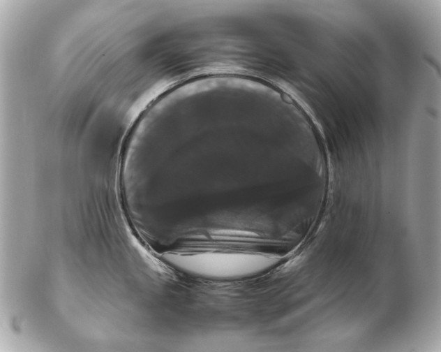 X0000102481245200808291620