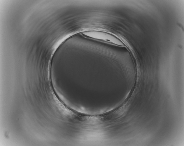 X0000102481246200808291620