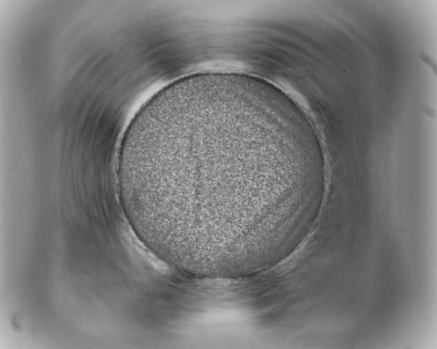 X0000102481248200808291620