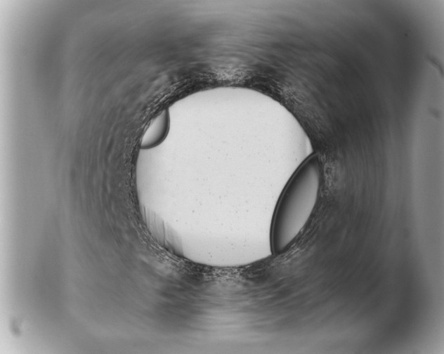 X0000102481249200808291619