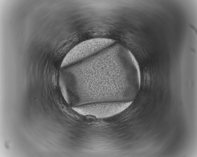 X0000102481250200808291619