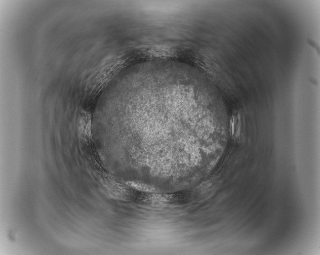 X0000102481251200808291619