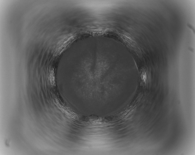 X0000102481252200808291619