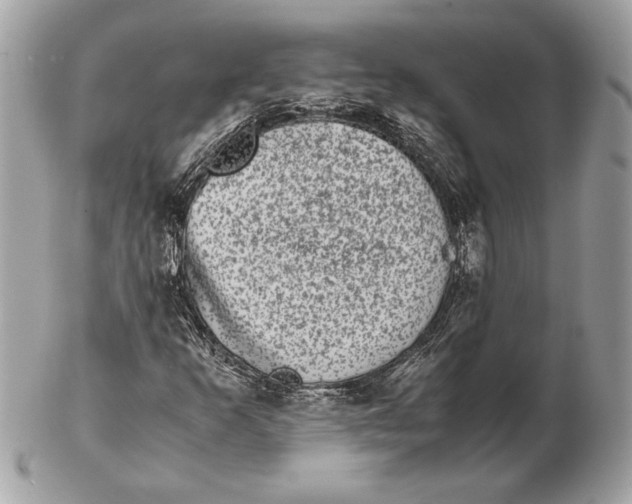 X0000102481253200808291619