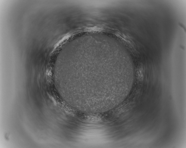 X0000102481254200808291619