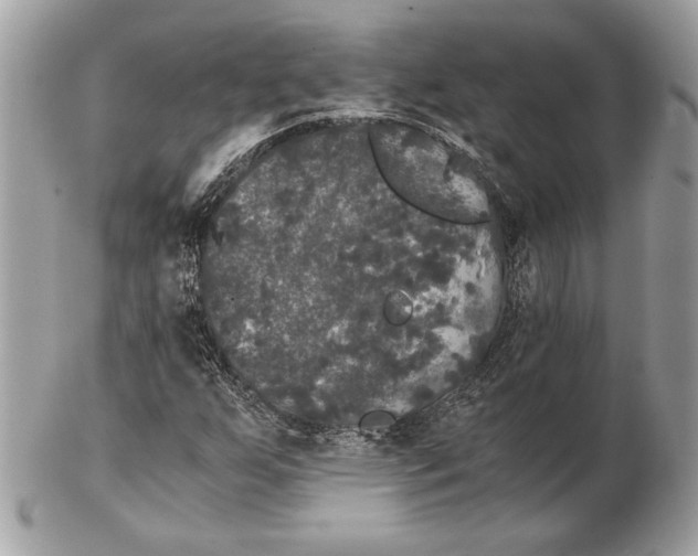 X0000102481255200808291619