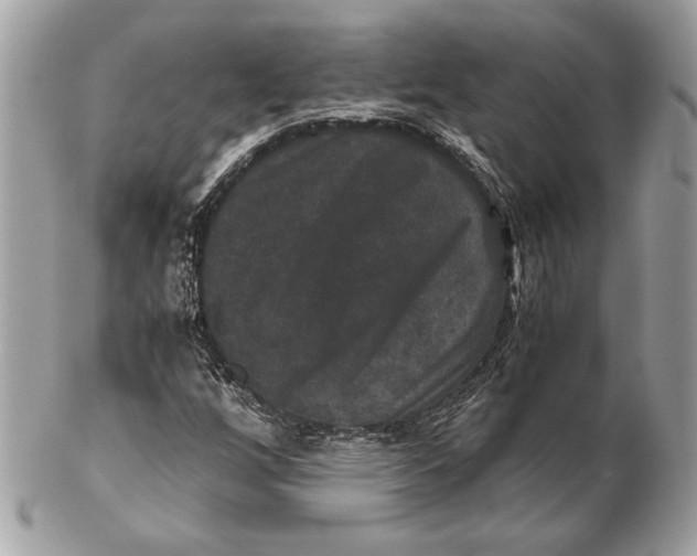 X0000102481256200808291619