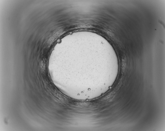 X0000102481257200808291619