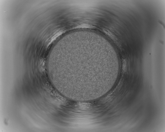 X0000102481258200808291619