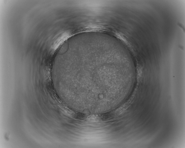 X0000102481259200808291619