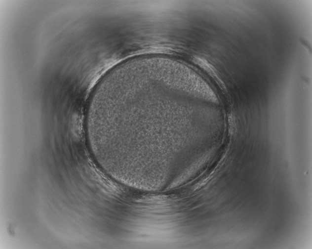 X0000102481260200808291619