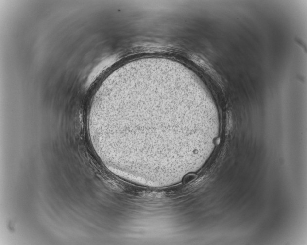 X0000102481261200808291619