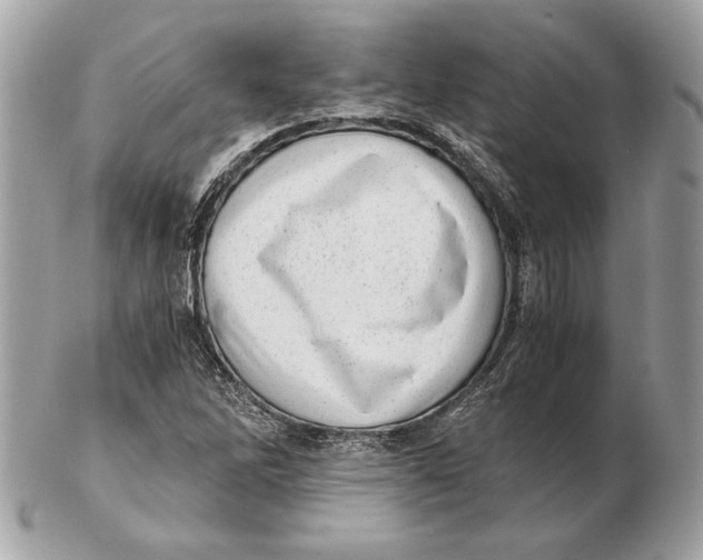 X0000102481262200808291619