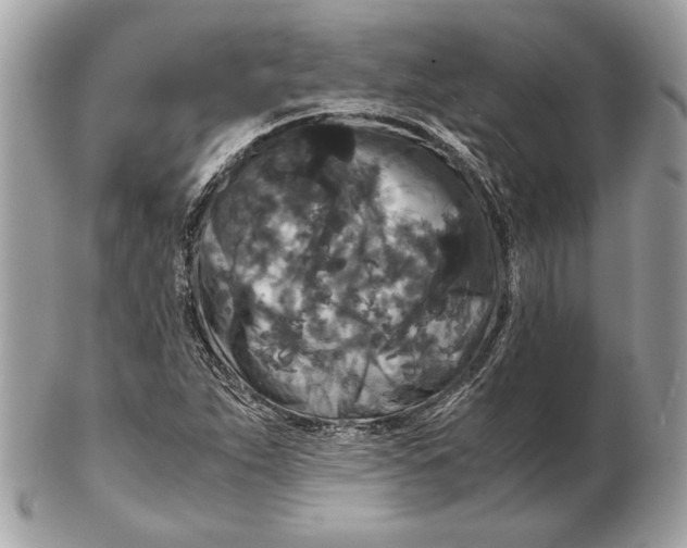 X0000102481263200808291619