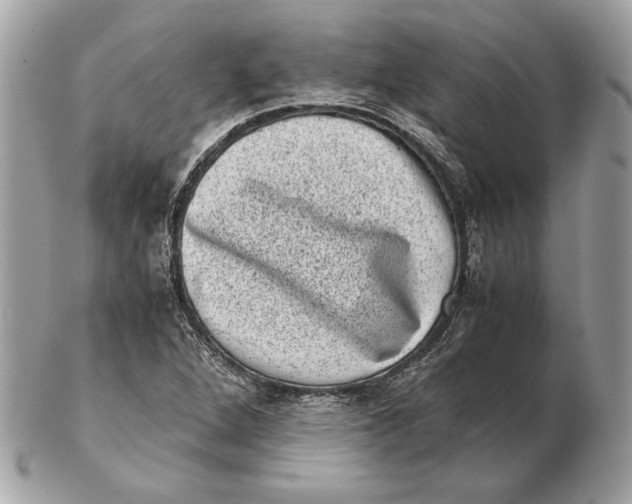 X0000102481264200808291619