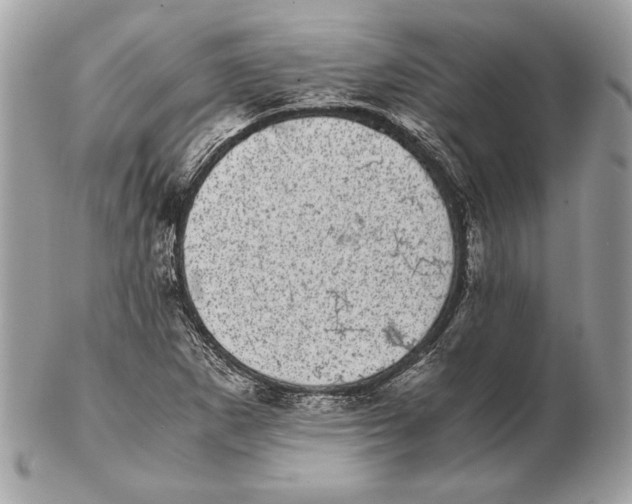 X0000102481265200808291619