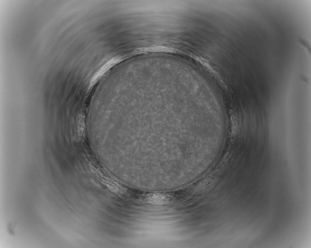 X0000102481266200808291619