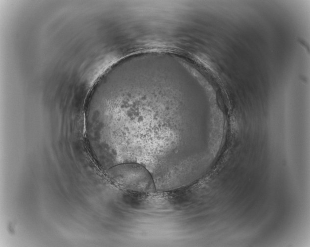 X0000102481267200808291619