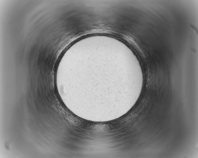 X0000102481268200808291619