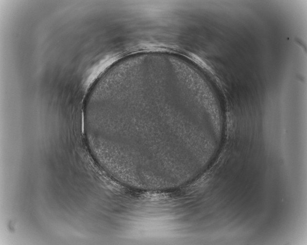 X0000102481269200808291619