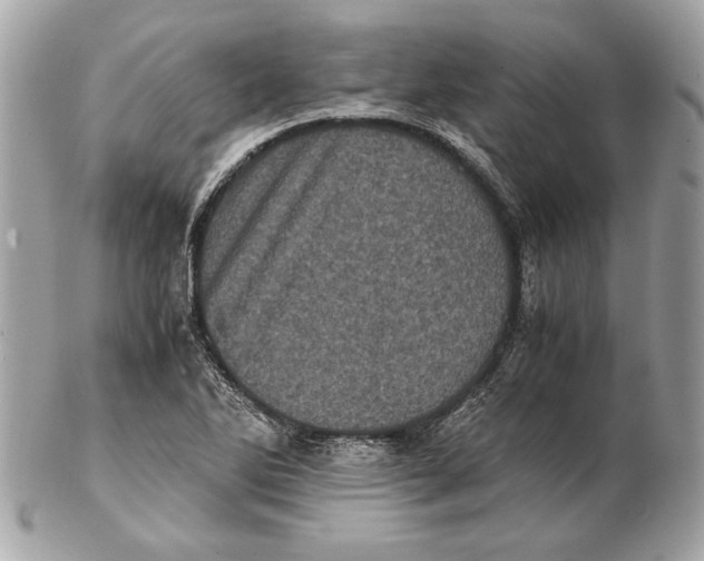 X0000102481270200808291619