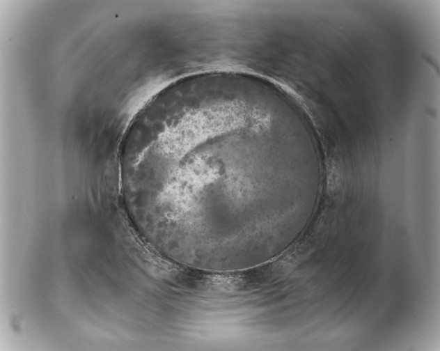 X0000102481271200808291619