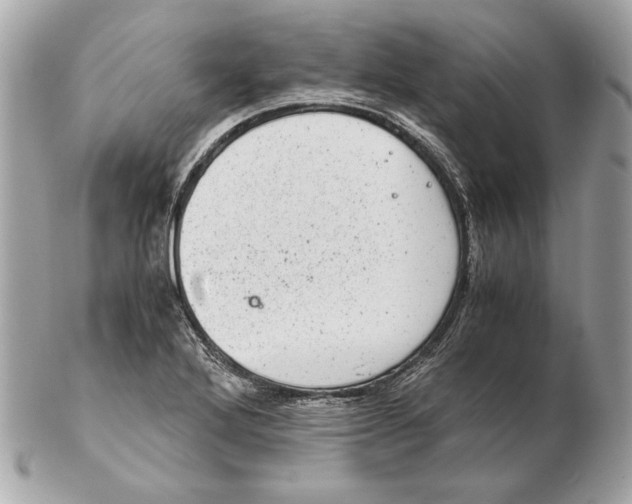 X0000102481272200808291619