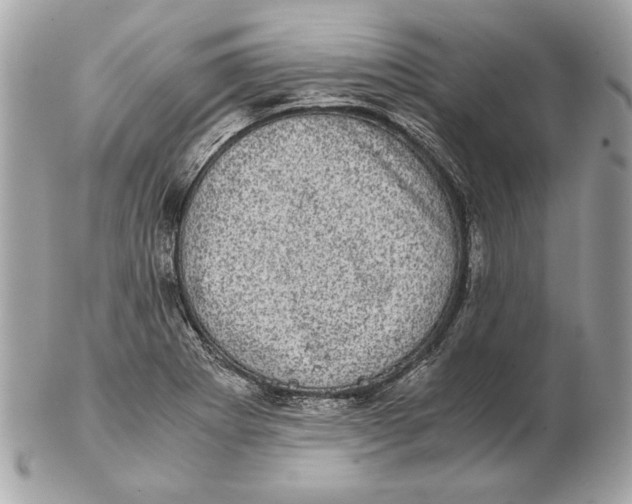 X0000102481273200808291619