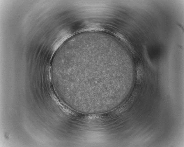 X0000102481274200808291619