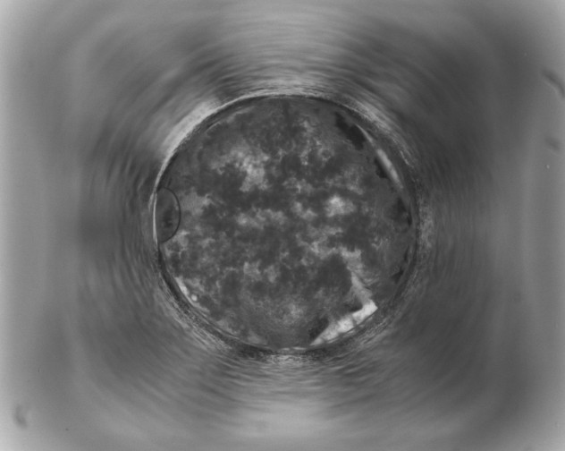 X0000102481275200808291619