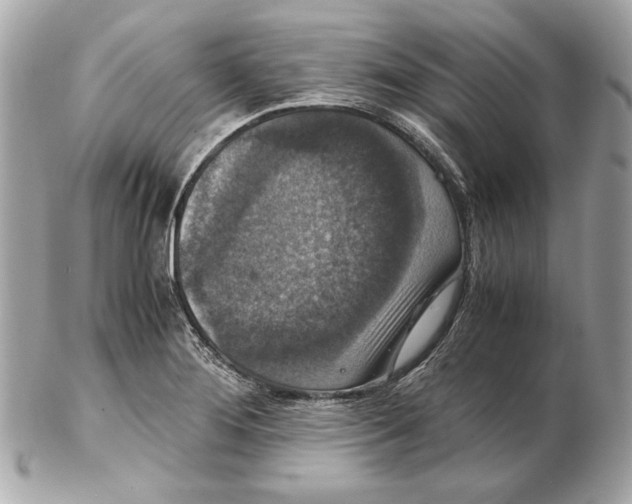 X0000102481276200808291619