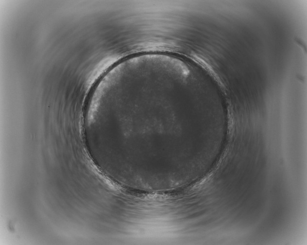 X0000102481277200808291619