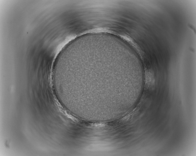 X0000102481278200808291619